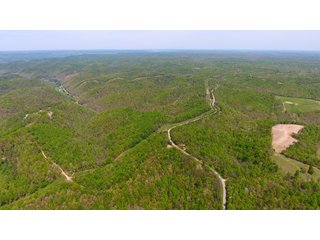 Property photo 3 - LAND AUCTION - 1,682+/- ACRES OFFERED IN 17 TRACTS IN LEWIS & GREENUP COUNTIES, KENTUCKY